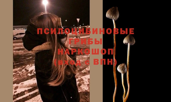 молекула духа Алексин
