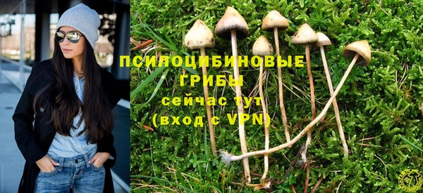 а пвп мука Алексеевка