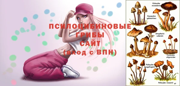 а пвп мука Алексеевка