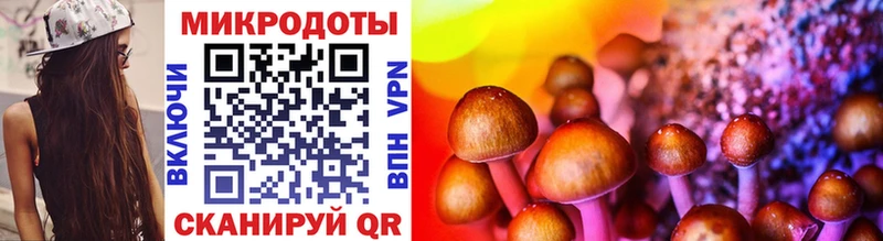 mega tor  Палласовка  Галлюциногенные грибы Magic Shrooms  купить закладку 